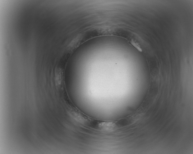 X0000068260133200604281535