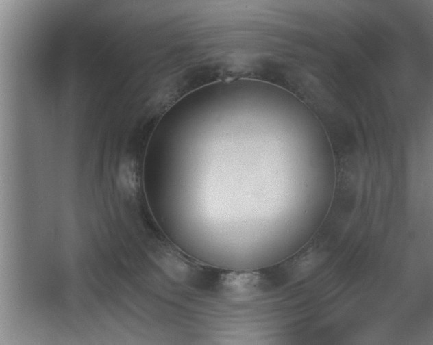 X0000068260135200604281535