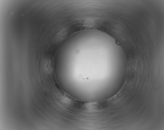 X0000068260136200604281535