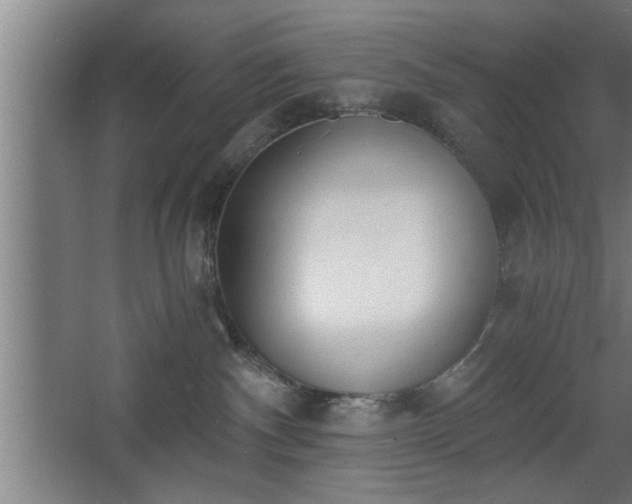 X0000068260140200604281535