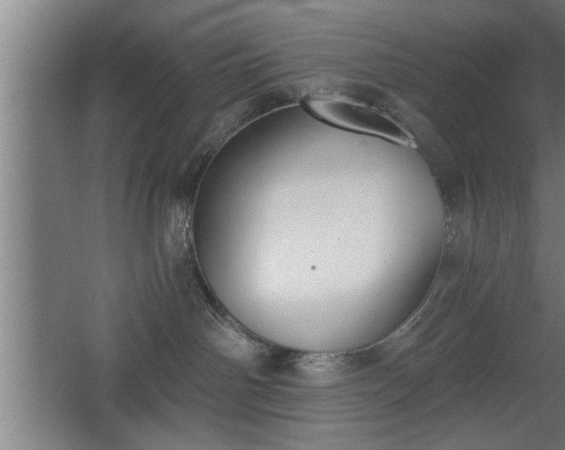 X0000068260142200604281535