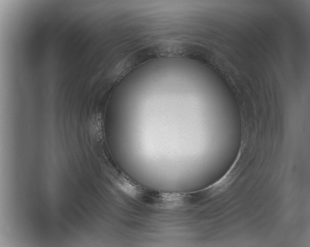 X0000068260144200604281535