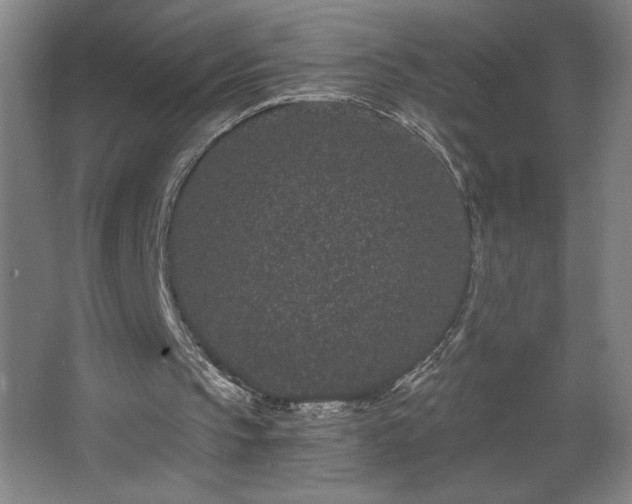 X0000068260145200604281534