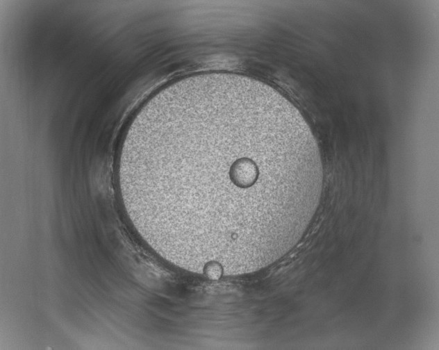 X0000068260146200604281534