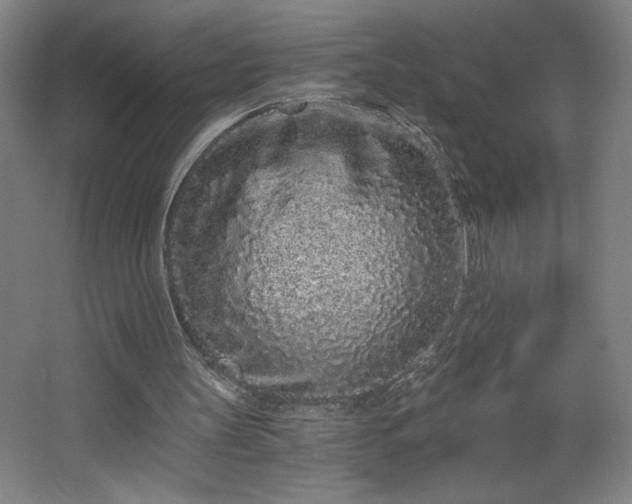 X0000068260147200604281534