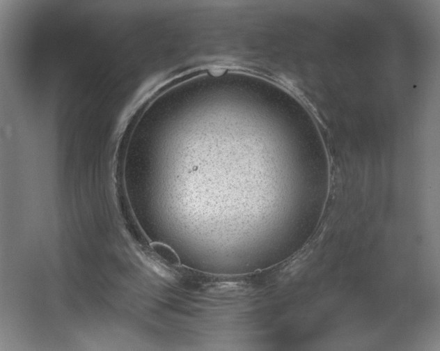 X0000068260151200604281534