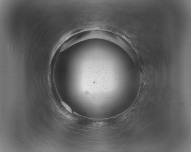 X0000068260152200604281534