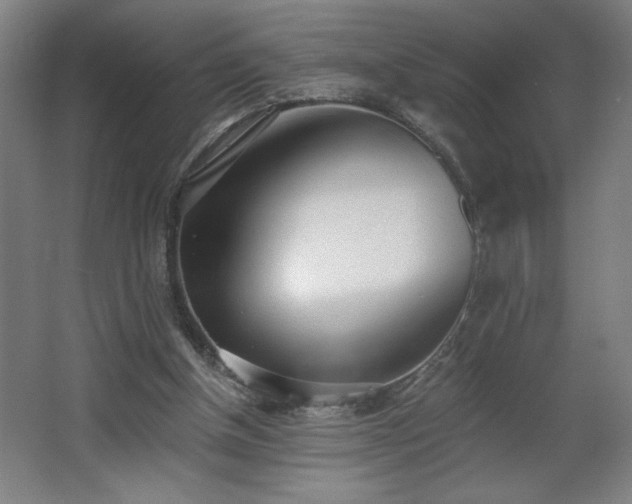 X0000068260154200604281534