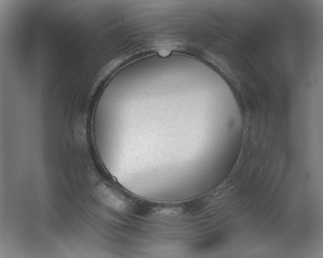 X0000068260155200604281535