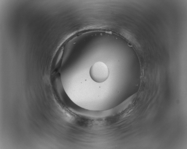 X0000068260156200604281535