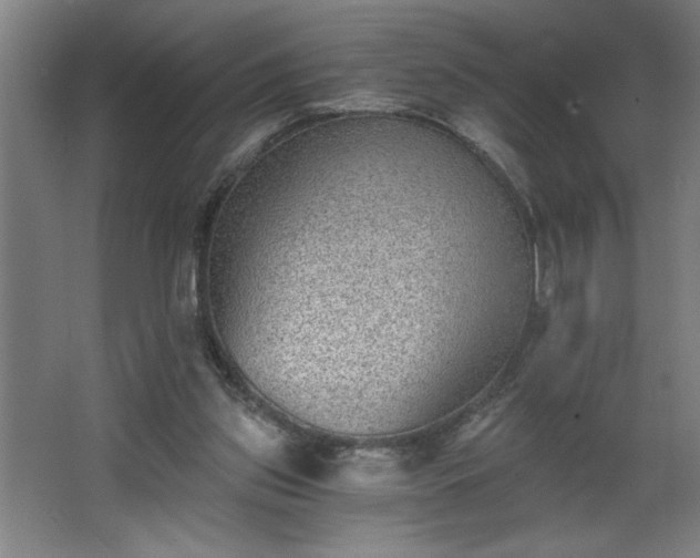 X0000068260157200604281535