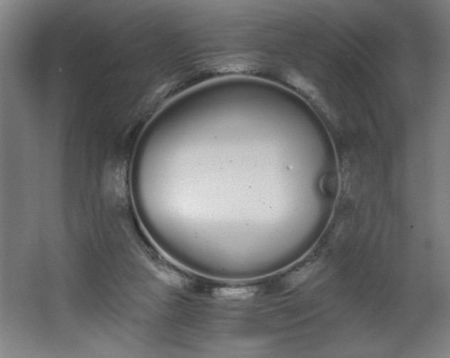 X0000068260161200604281535