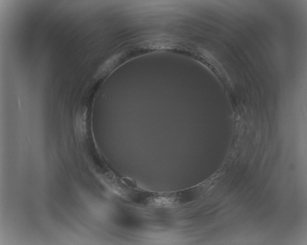 X0000068260163200604281535