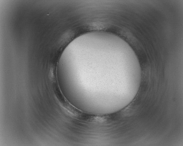 X0000068260166200604281535