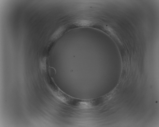 X0000068260167200604281535