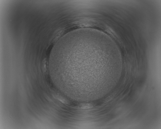 X0000068260169200604281535