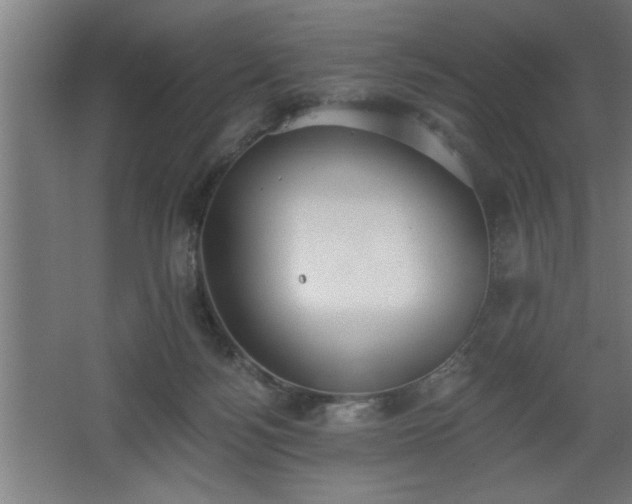 X0000068260172200604281535