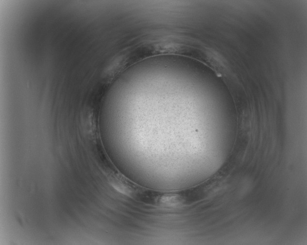 X0000068260173200604281535