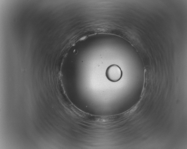 X0000068260174200604281535