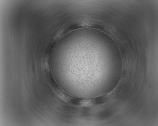 X0000068260175200604281535