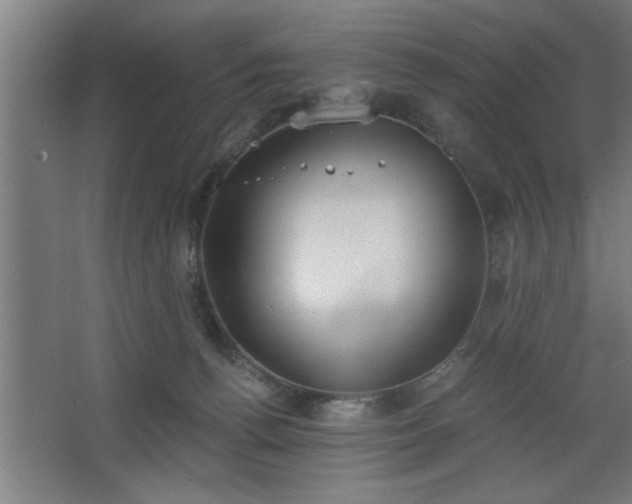 X0000068260176200604281535