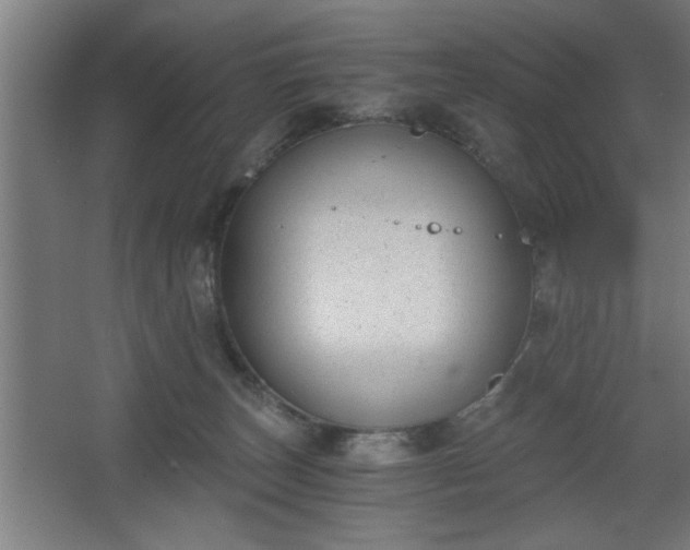 X0000068260179200604281535