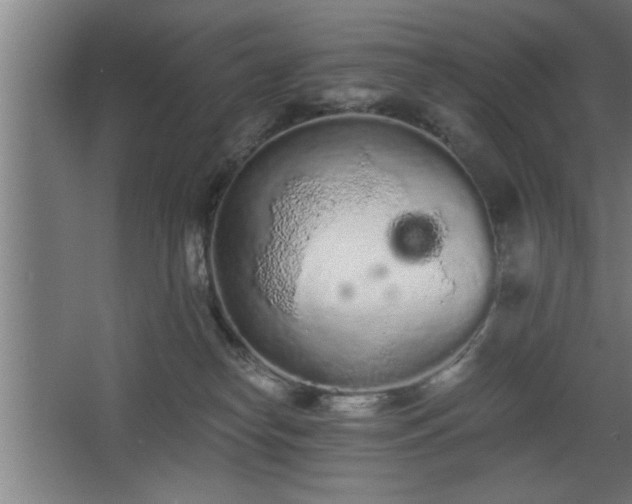 X0000068260182200604281535