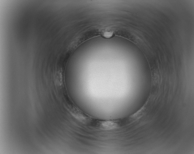 X0000068260183200604281535