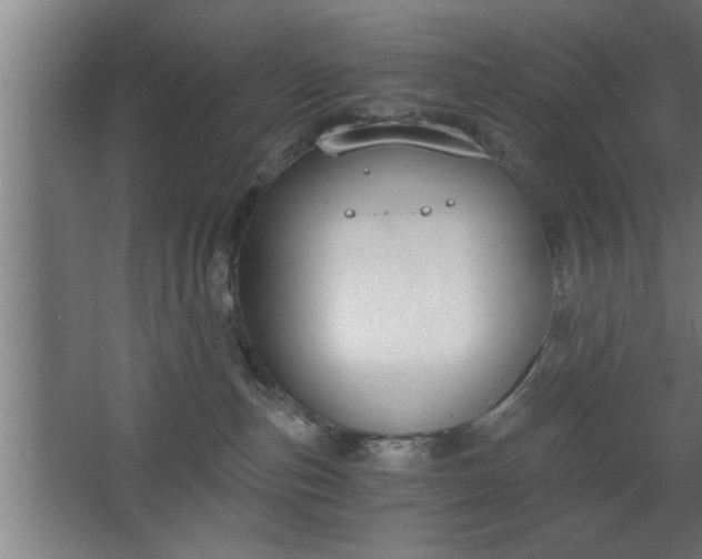 X0000068260187200604281535