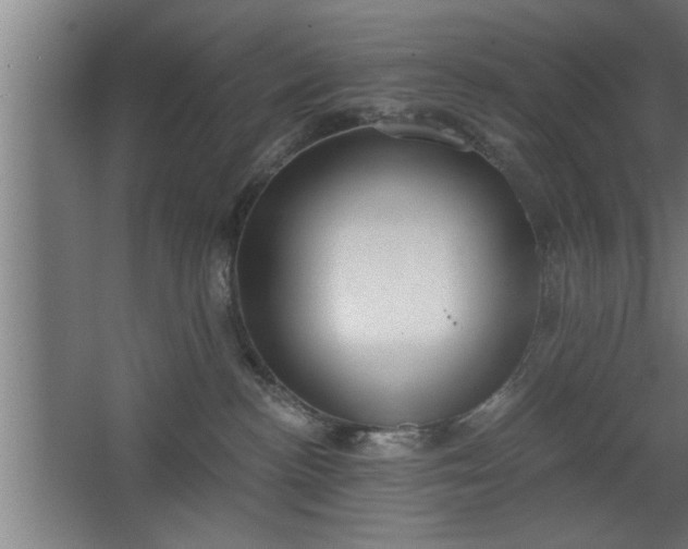 X0000068260188200604281535