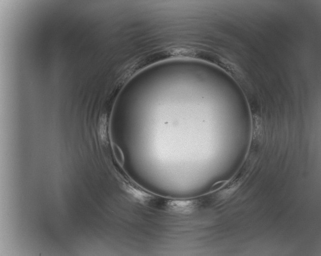 X0000068260189200604281535