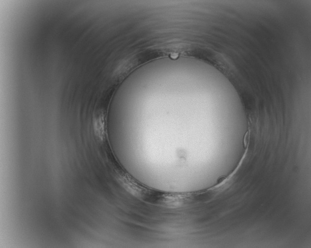 X0000068260190200604281535