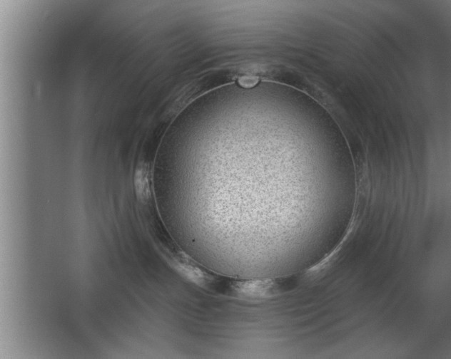 X0000068260191200604281535