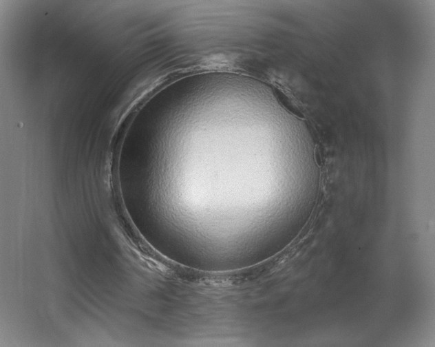 X0000068260194200604281534