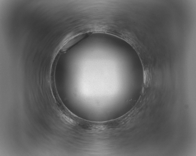 X0000068260195200604281534