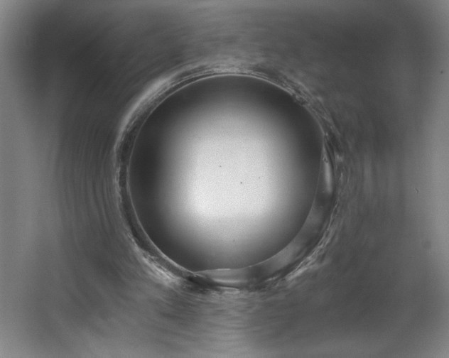 X0000068260197200604281534