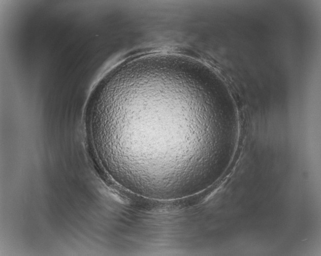 X0000068260198200604281534