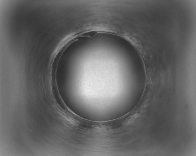 X0000068260199200604281534