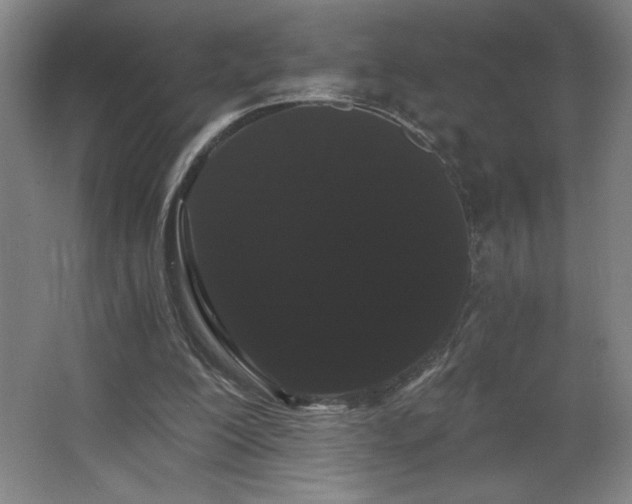 X0000068260200200604281534