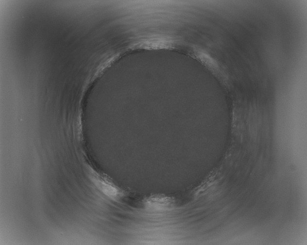 X0000068260202200604281534