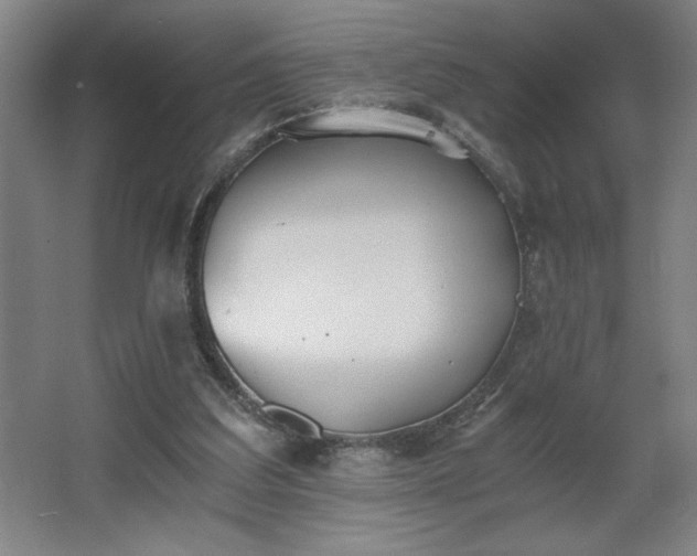 X0000068260203200604281534