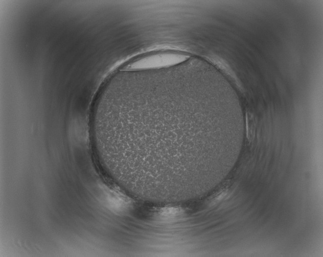 X0000068260204200604281534