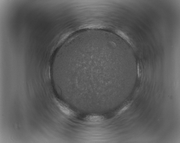 X0000068260205200604281534