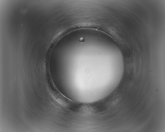 X0000068260207200604281534