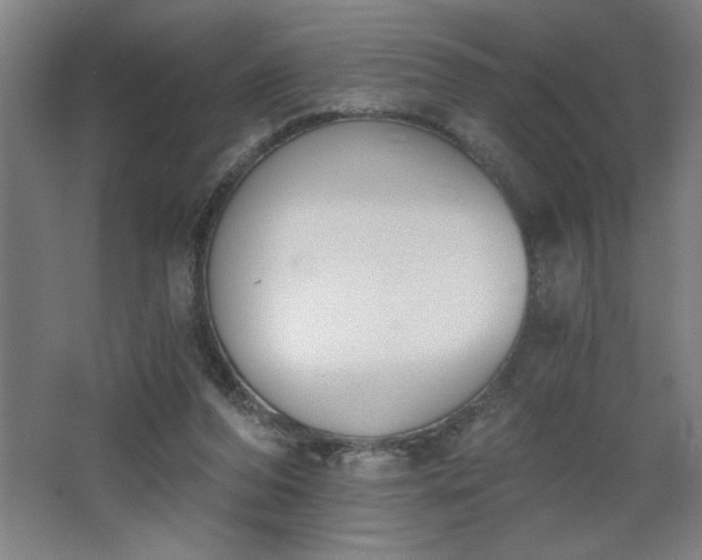 X0000068260208200604281534