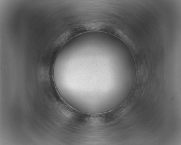 X0000068260209200604281534