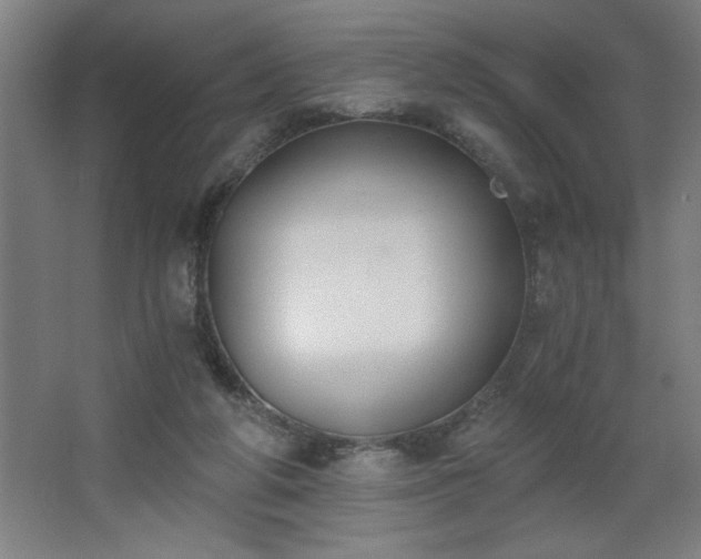 X0000068260210200604281534