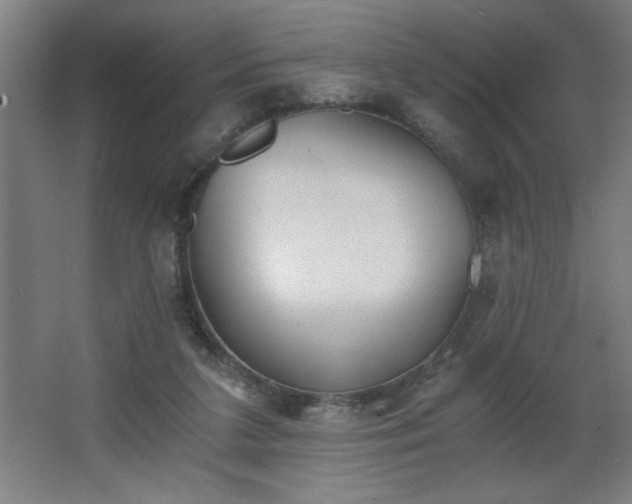 X0000068260211200604281534