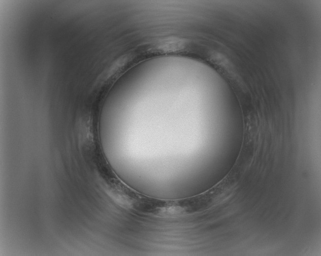 X0000068260212200604281534