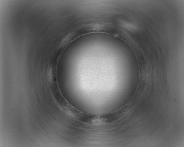 X0000068260216200604281534